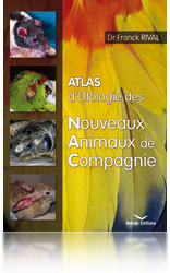 Atlas d'Otologie des NAC (Nouveaux Animaux de Compagnie)